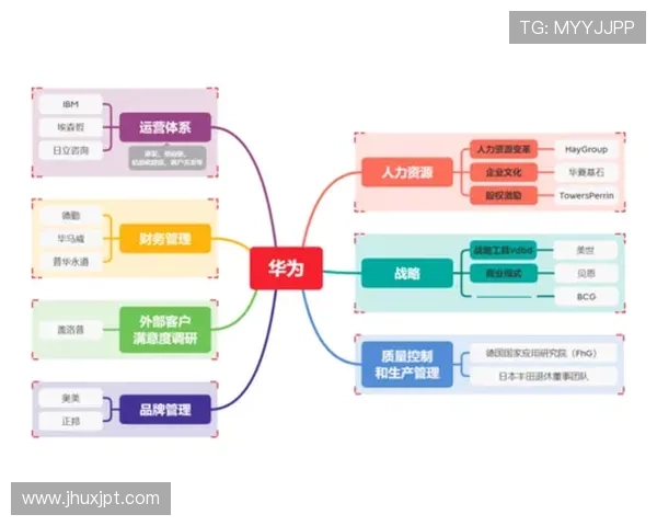 探索北京篮球队运营体系中的战术创新与团队协作策略